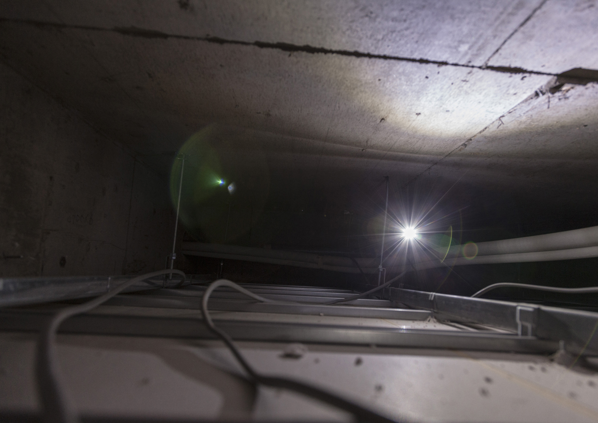 the_first_star_of_evening/02